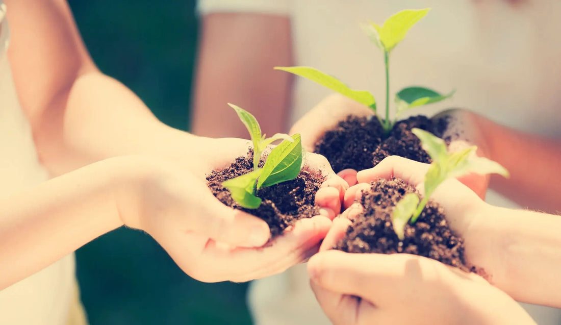 Prepararsi al risveglio - HAIRMED